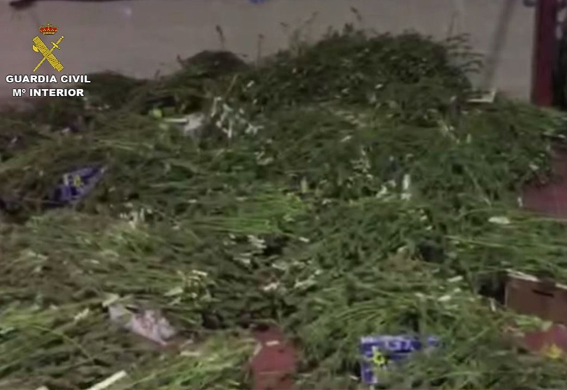 Intervenidos en Los Molares ms de 2.500 kilos de marihuana en una operacin con dos detenidos
