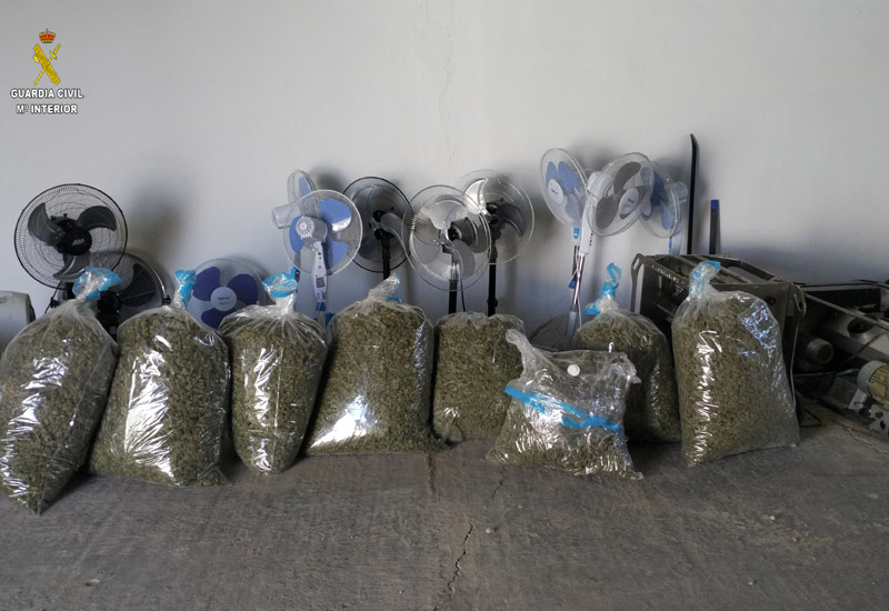 Detenido un joven con diez bolsas de marihuana en El Coronil